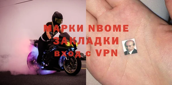твердый Инта