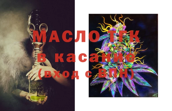 твердый Инта