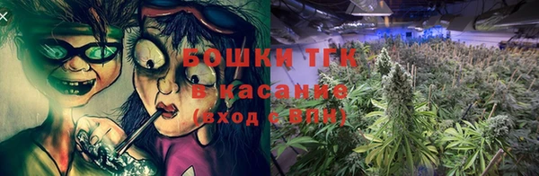 твердый Инта