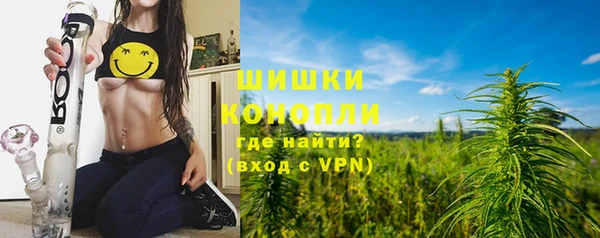 твердый Инта