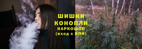 твердый Инта