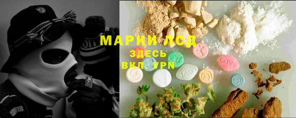 твердый Инта