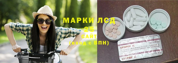 твердый Инта
