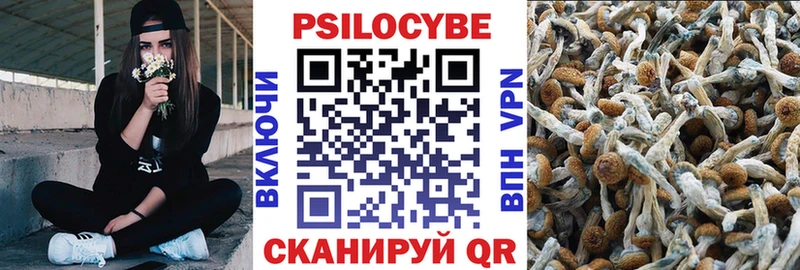 Галлюциногенные грибы ЛСД  Купить закладки  Белокуриха 